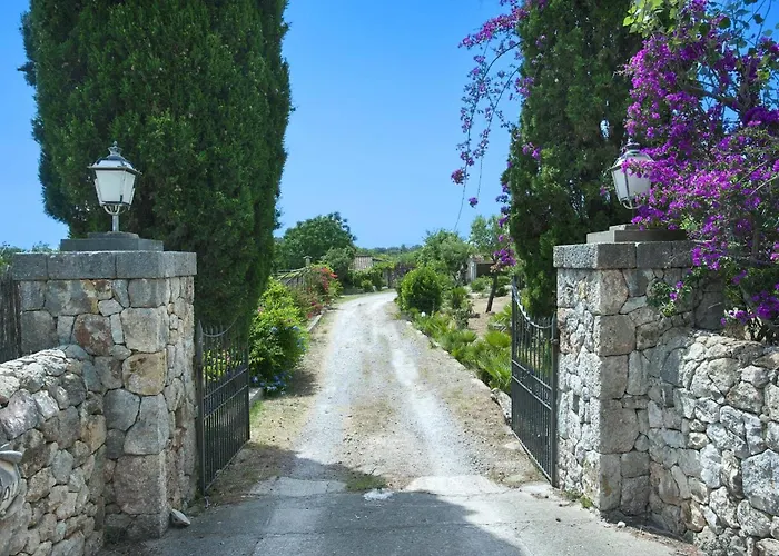 Villa Suau Gran By *